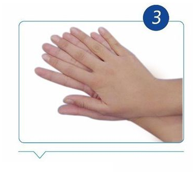 Handwashing Technique3