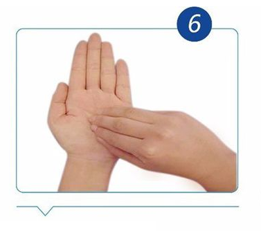 Handwashing Technique6