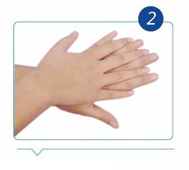 Handwashing Technique2