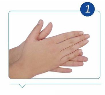Handwashing Technique1
